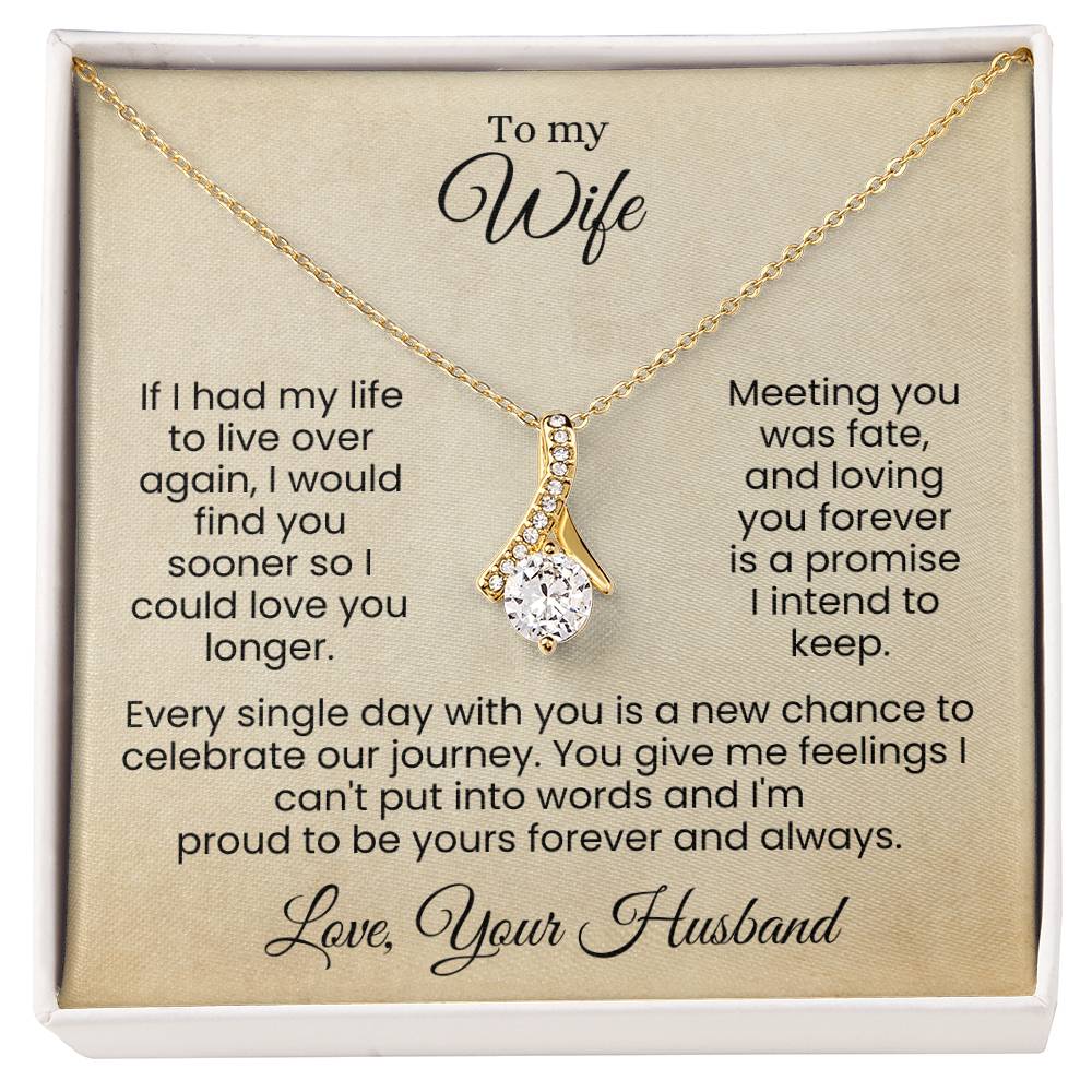 Forever Yours | A Love Written in Fate and Sealed with My Heart (Alluring Beauty Necklace)