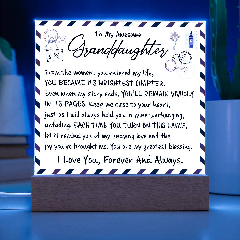 From the moment you entered my life | A perfect gift for granddaughter