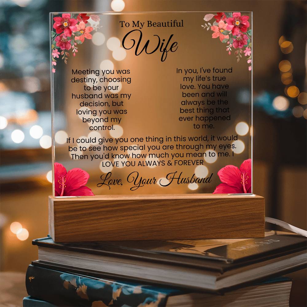 In My Eyes, You're Everything | Best Gift for Wife (Acrylic)