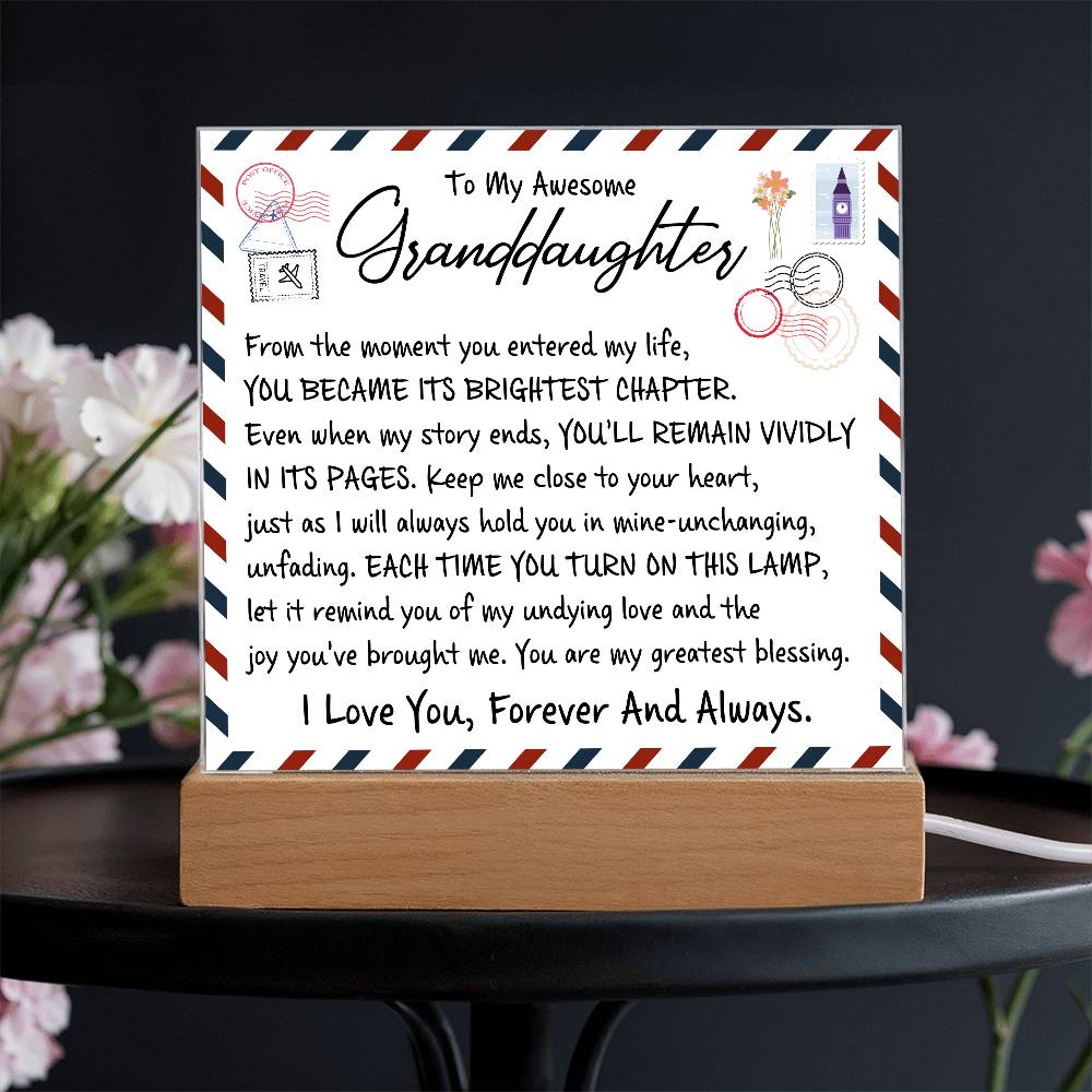 From the moment you entered my life | A perfect gift for granddaughter