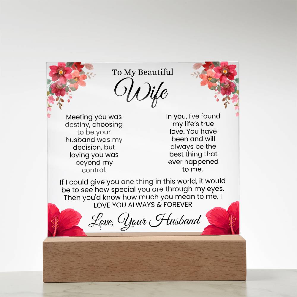 In My Eyes, You're Everything | Best Gift for Wife (Acrylic)