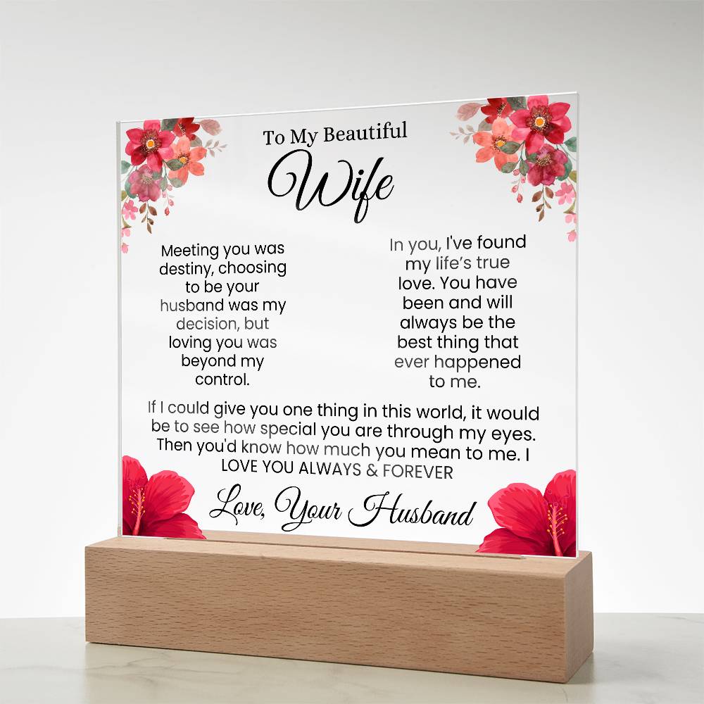 In My Eyes, You're Everything | Best Gift for Wife (Acrylic)