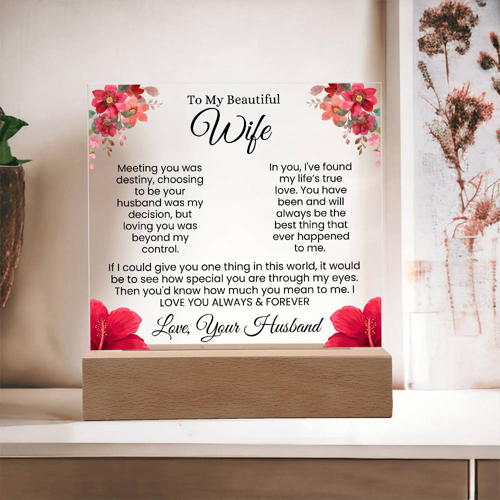 In My Eyes, You're Everything | Best Gift for Wife (Acrylic)