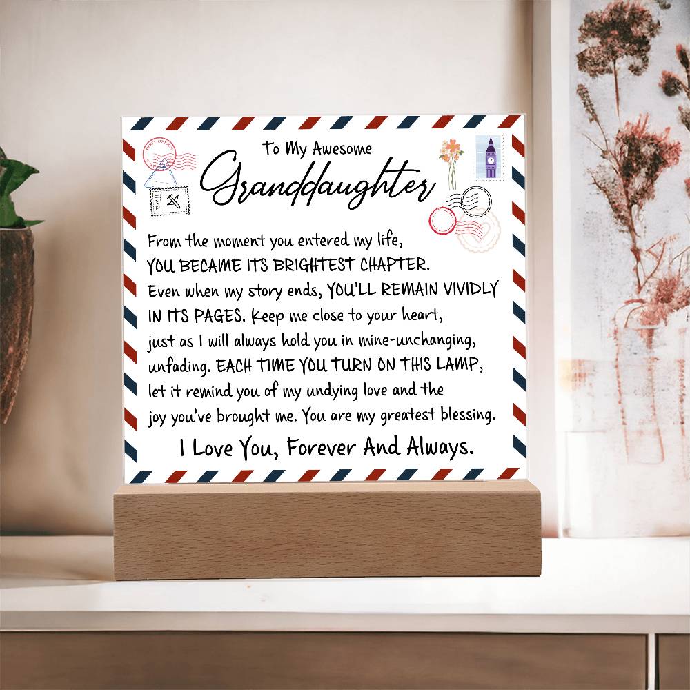 From the moment you entered my life | A perfect gift for granddaughter