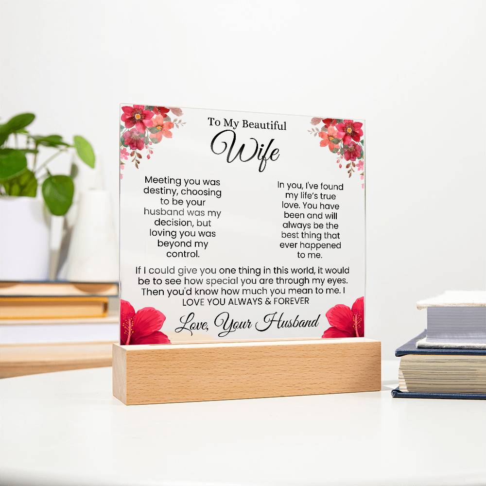 In My Eyes, You're Everything | Best Gift for Wife (Acrylic)