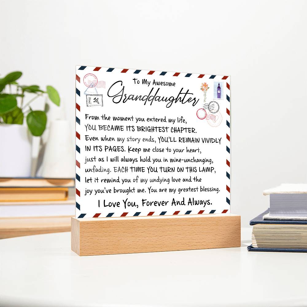 From the moment you entered my life | A perfect gift for granddaughter