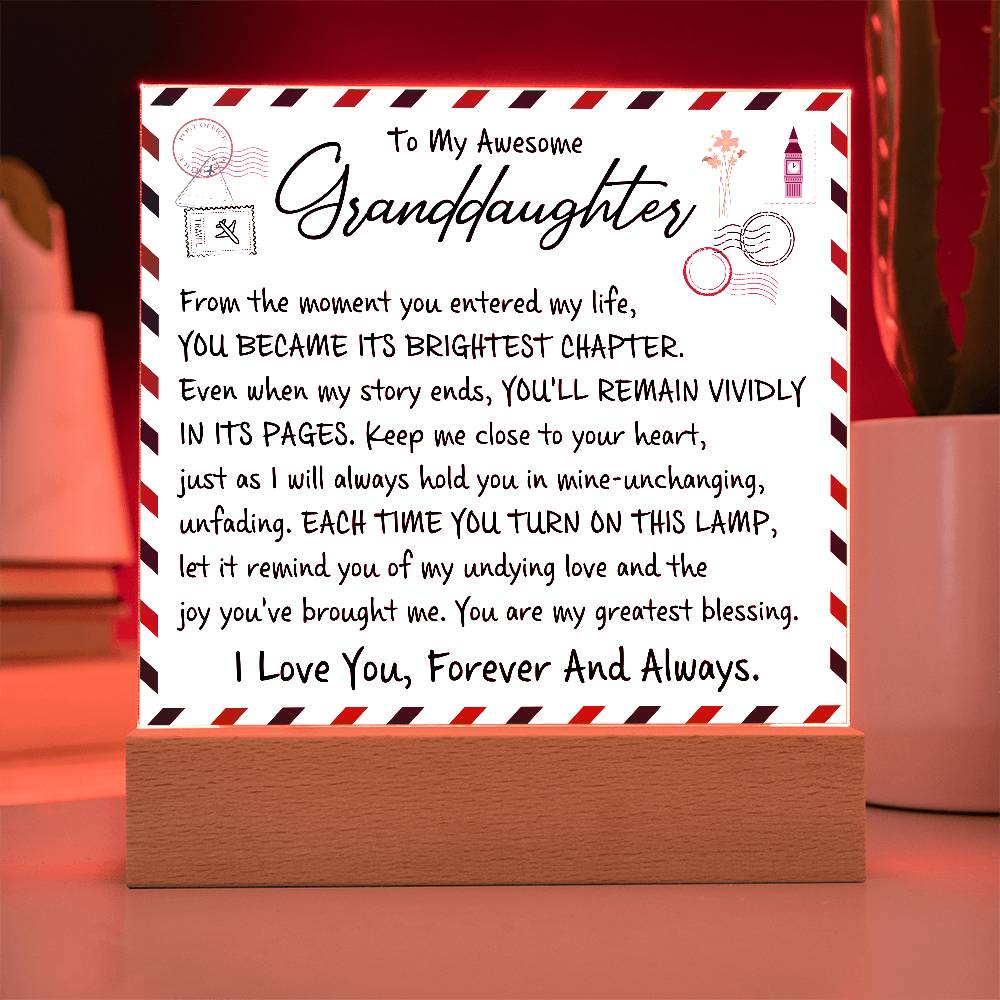 From the moment you entered my life | A perfect gift for granddaughter