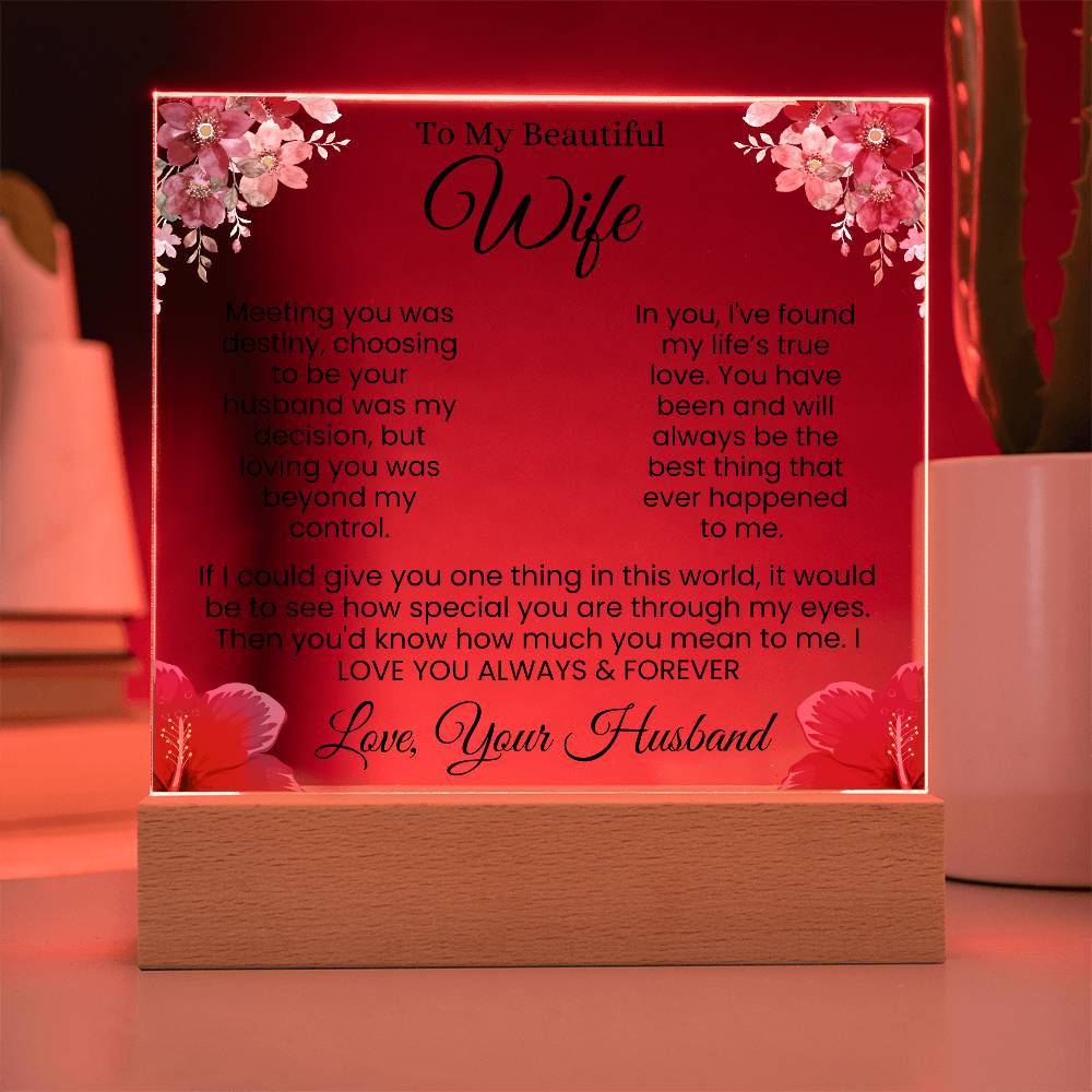 In My Eyes, You're Everything | Best Gift for Wife (Acrylic)