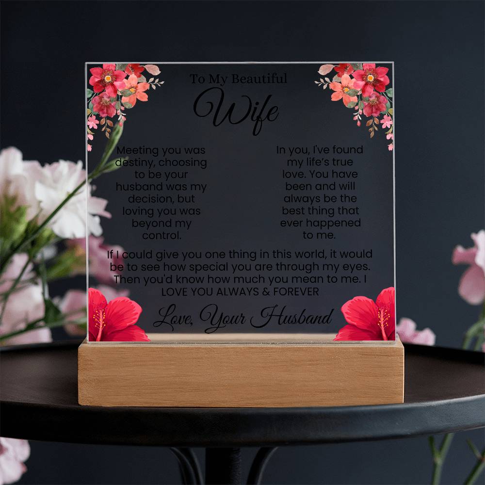 In My Eyes, You're Everything | Best Gift for Wife (Acrylic)