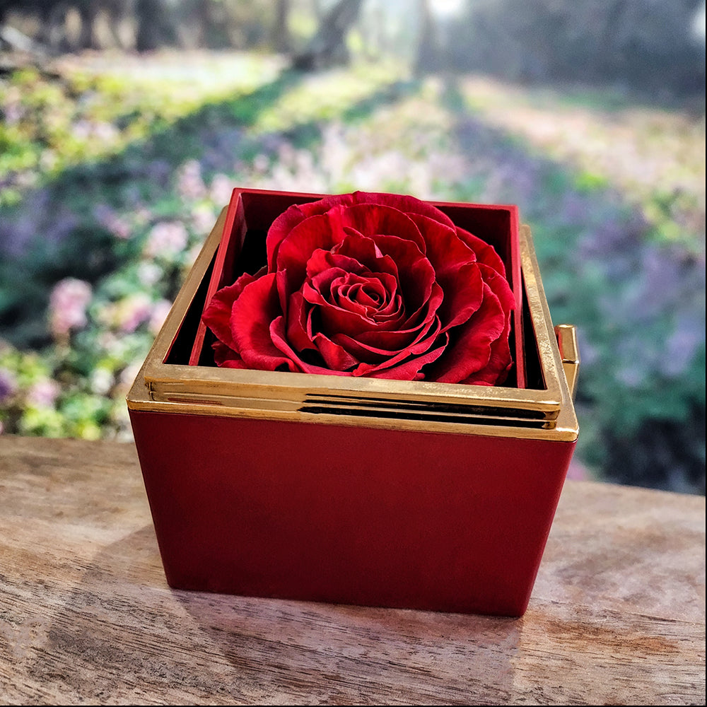 To My Beautiful Bonus Mom – A Token of Love, Gratitude & Appreciation