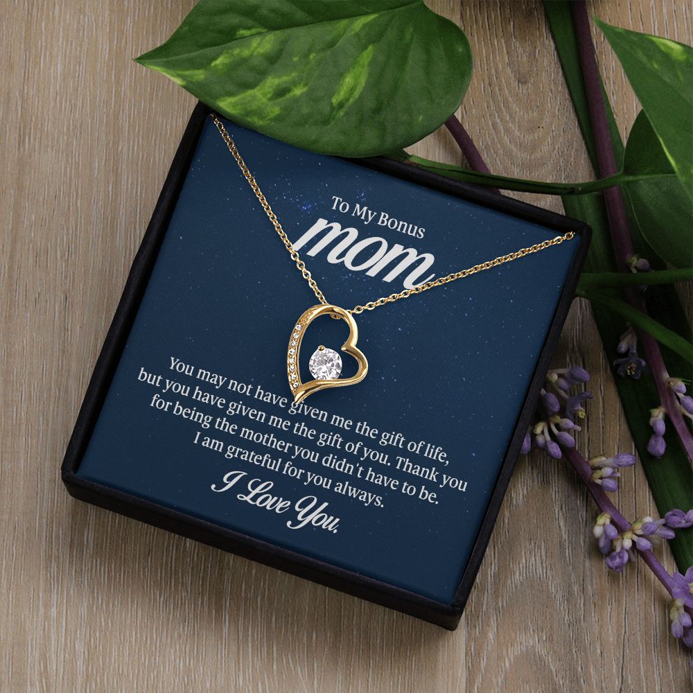 To my mom - you may not have given me the gift of life - Forever love necklace gifts for mom